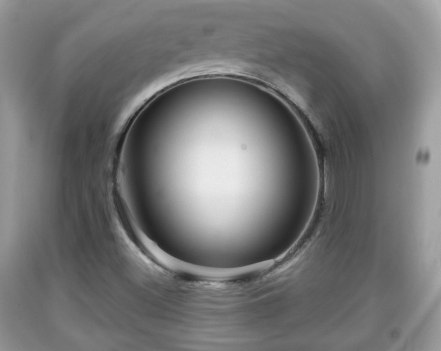 X0000091951500200709131153