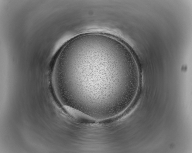 X0000091951501200709131153