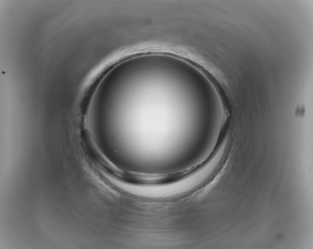 X0000091951502200709131153