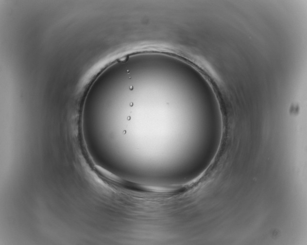 X0000091951504200709131153
