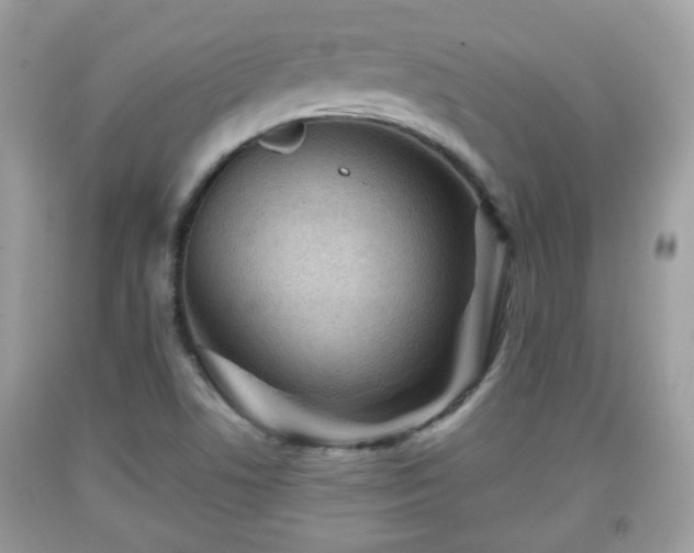 X0000091951506200709131153