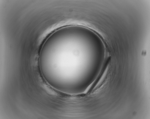 X0000091951507200709131153