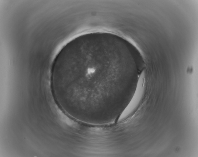 X0000091951508200709131153