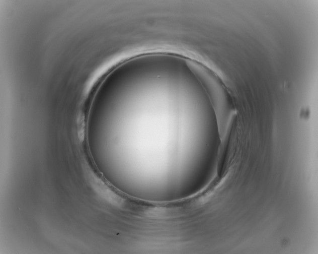 X0000091951510200709131153