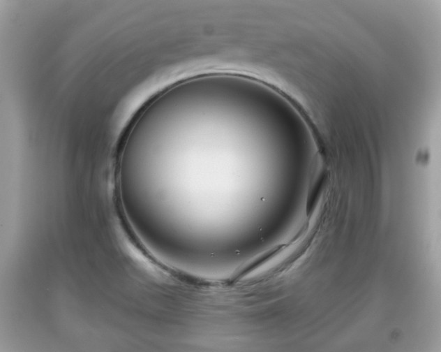 X0000091951511200709131153