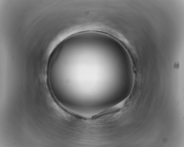 X0000091951512200709131153
