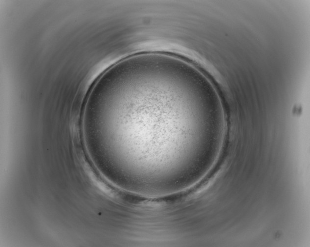 X0000091951513200709131153