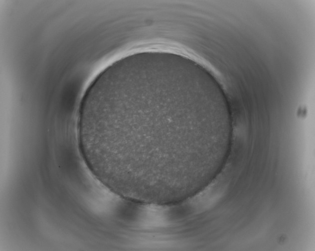 X0000091951514200709131153