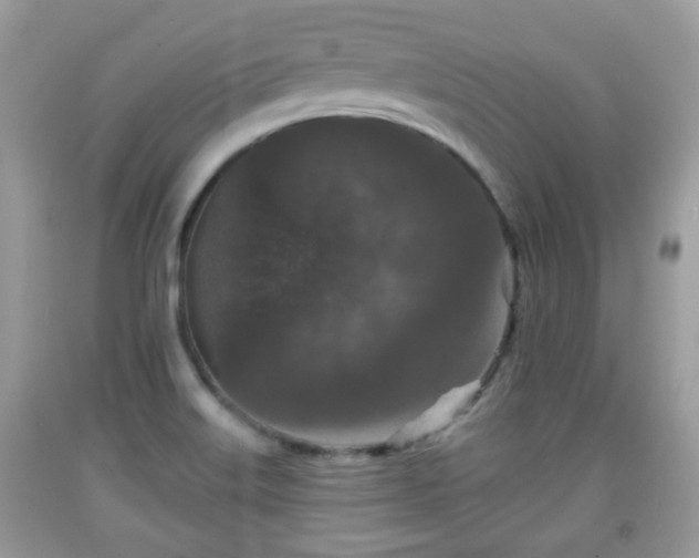 X0000091951515200709131153