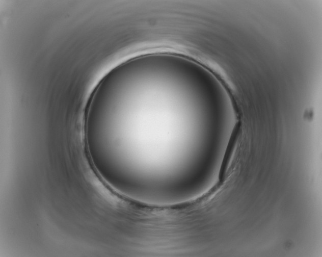 X0000091951516200709131153