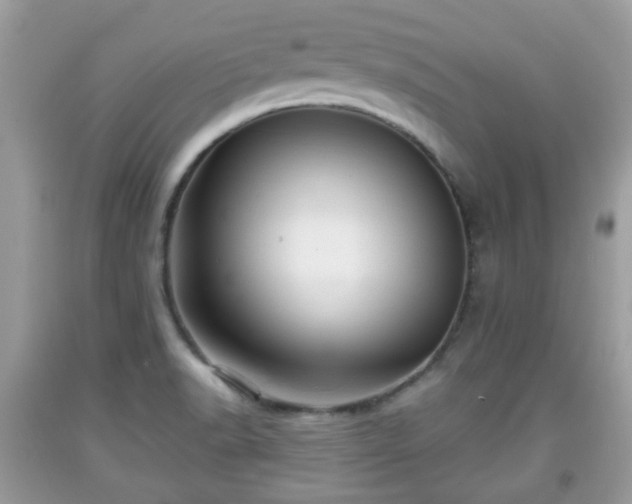 X0000091951518200709131153