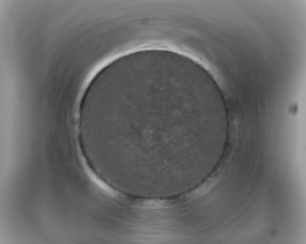 X0000091951519200709131153