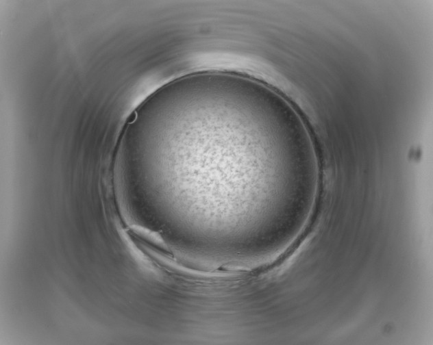 X0000091951521200709131153