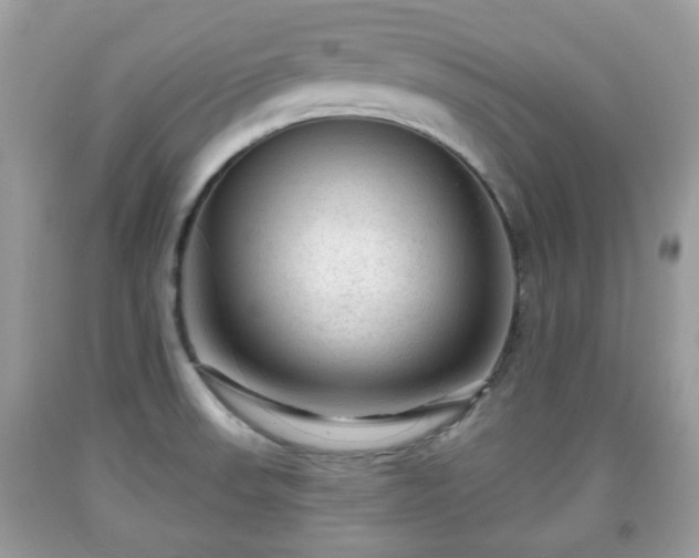 X0000091951523200709131153