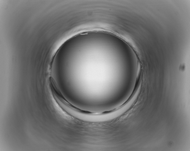 X0000091951524200709131153