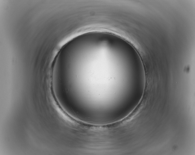X0000091951526200709131153