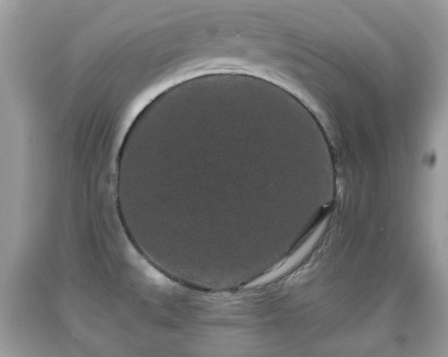 X0000091951527200709131153