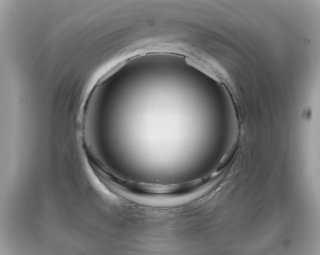 X0000091951528200709131153