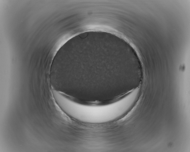 X0000091951529200709131153