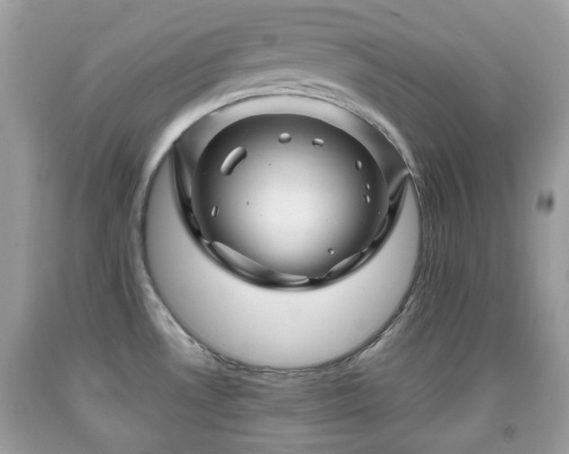 X0000091951530200709131153