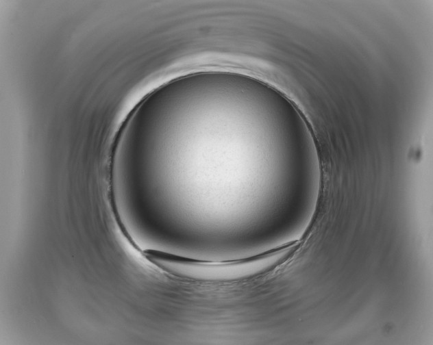 X0000091951531200709131153