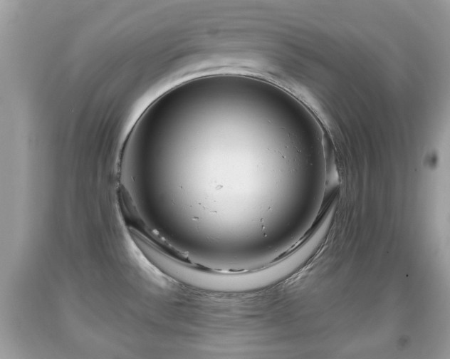 X0000091951532200709131153