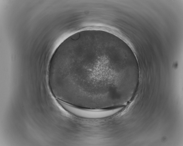 X0000091951533200709131153