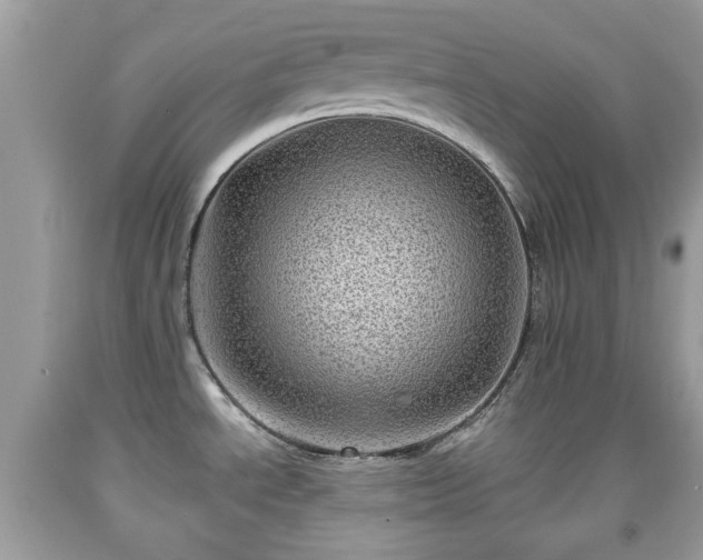 X0000091951534200709131153