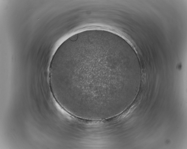 X0000091951535200709131153