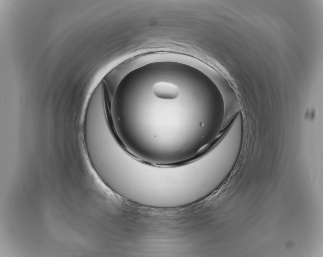 X0000091951536200709131153