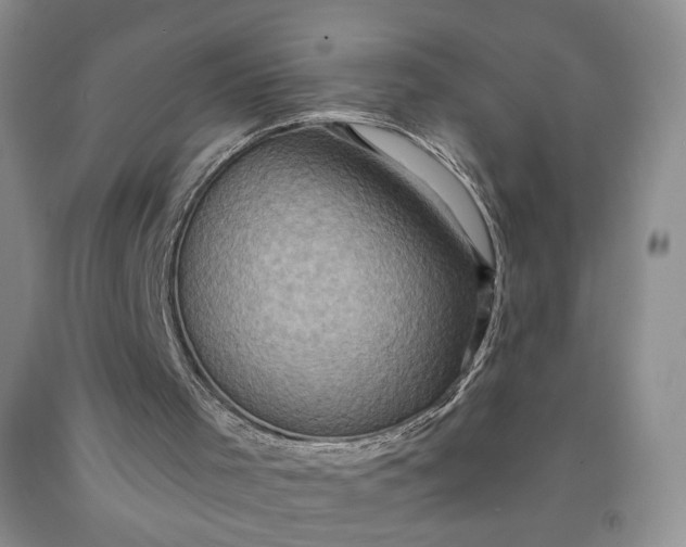 X0000091950001200709201332