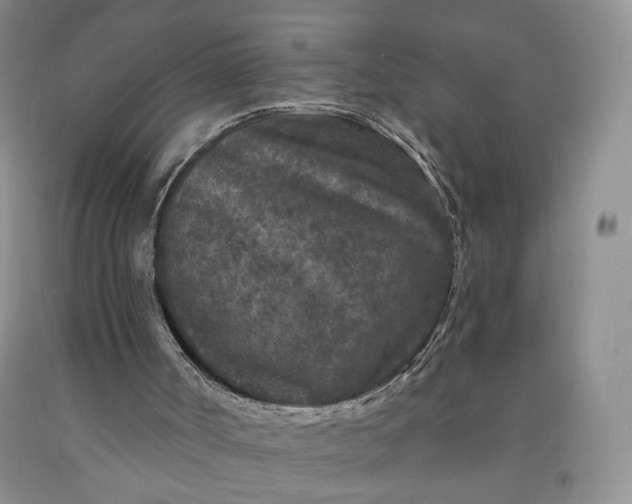 X0000091950002200709201332