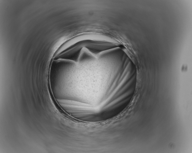 X0000091950003200709201332