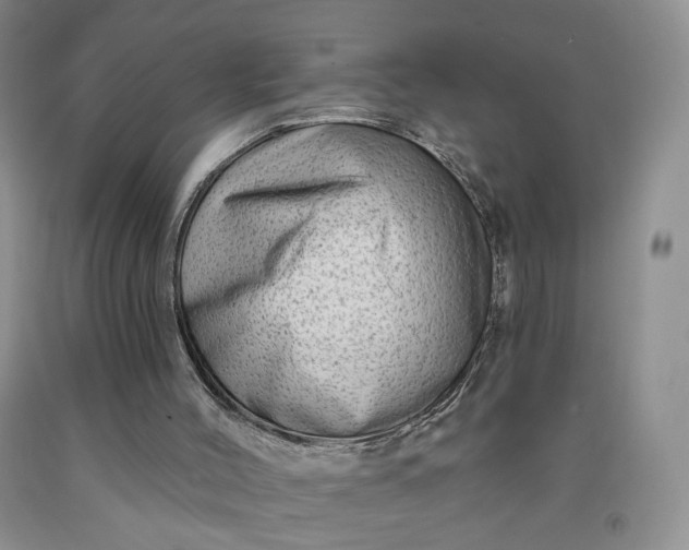 X0000091950004200709201332