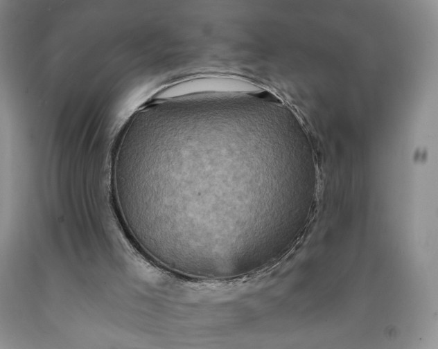 X0000091950005200709201332