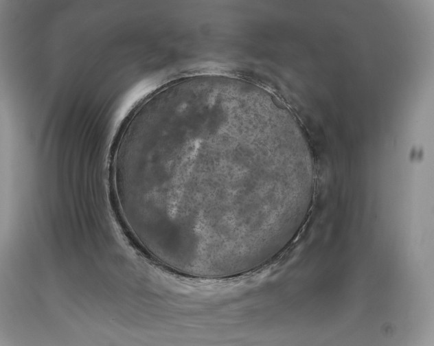 X0000091950006200709201332