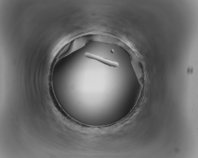 X0000091950007200709201332