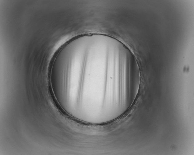 X0000091950008200709201332