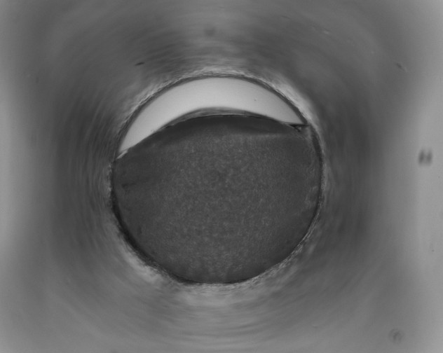 X0000091950009200709201332