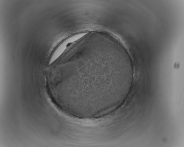 X0000091950010200709201332