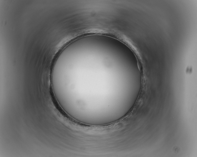 X0000091950011200709201332