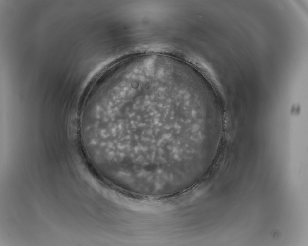 X0000091950012200709201332