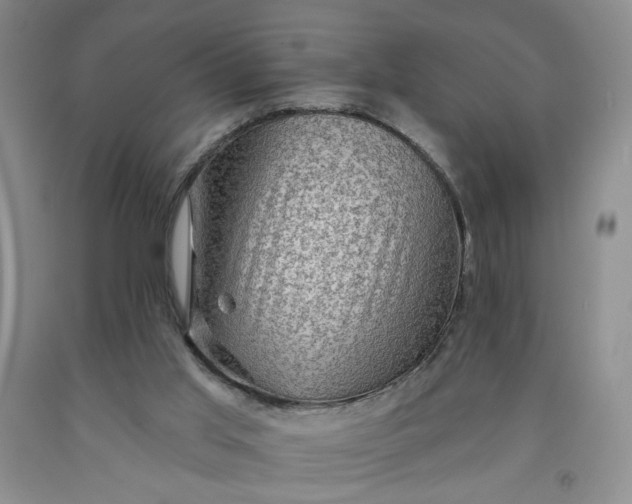 X0000091950013200709201332