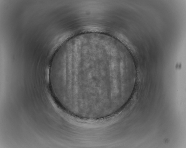 X0000091950014200709201332