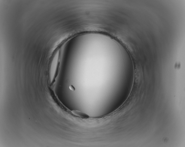 X0000091950015200709201332