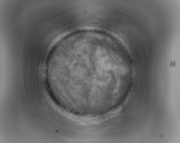 X0000091950016200709201332