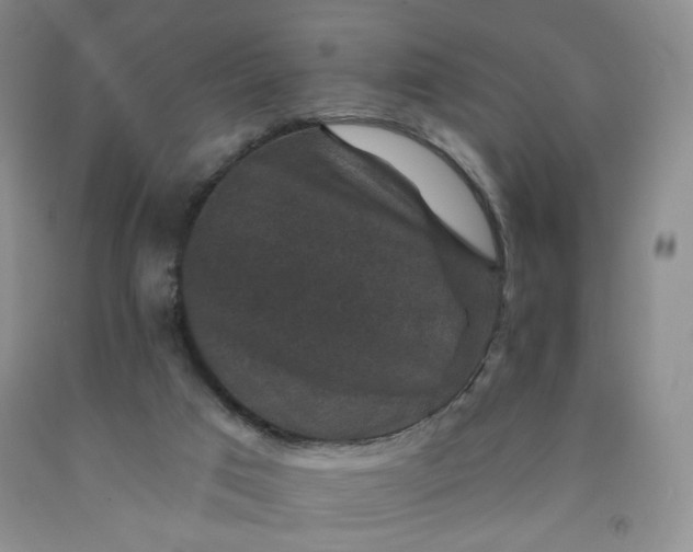 X0000091950017200709201332