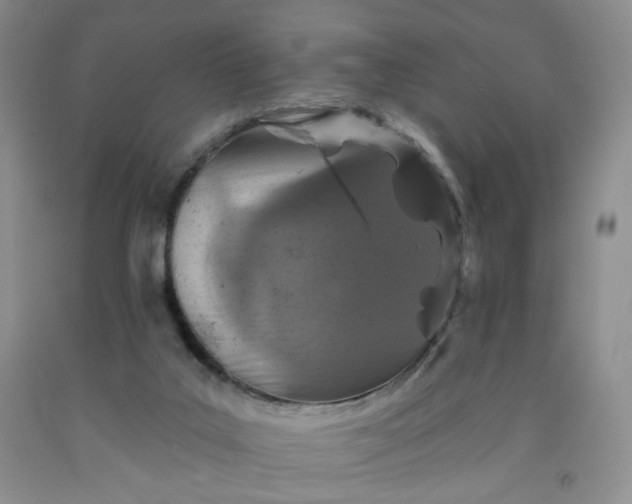 X0000091950019200709201332