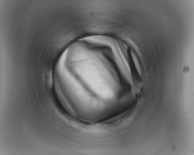 X0000091950020200709201332