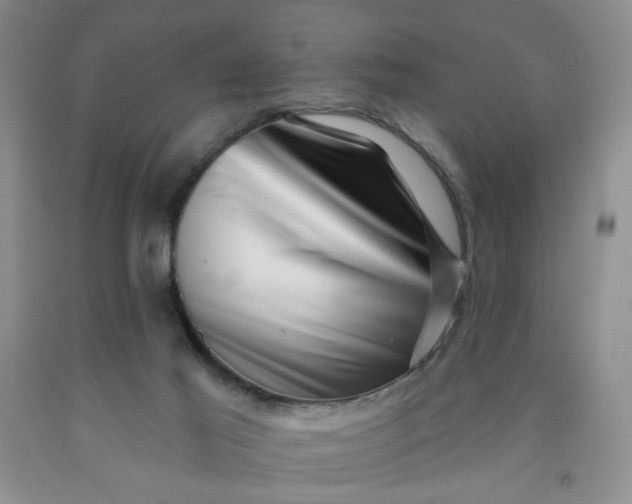 X0000091950021200709201332